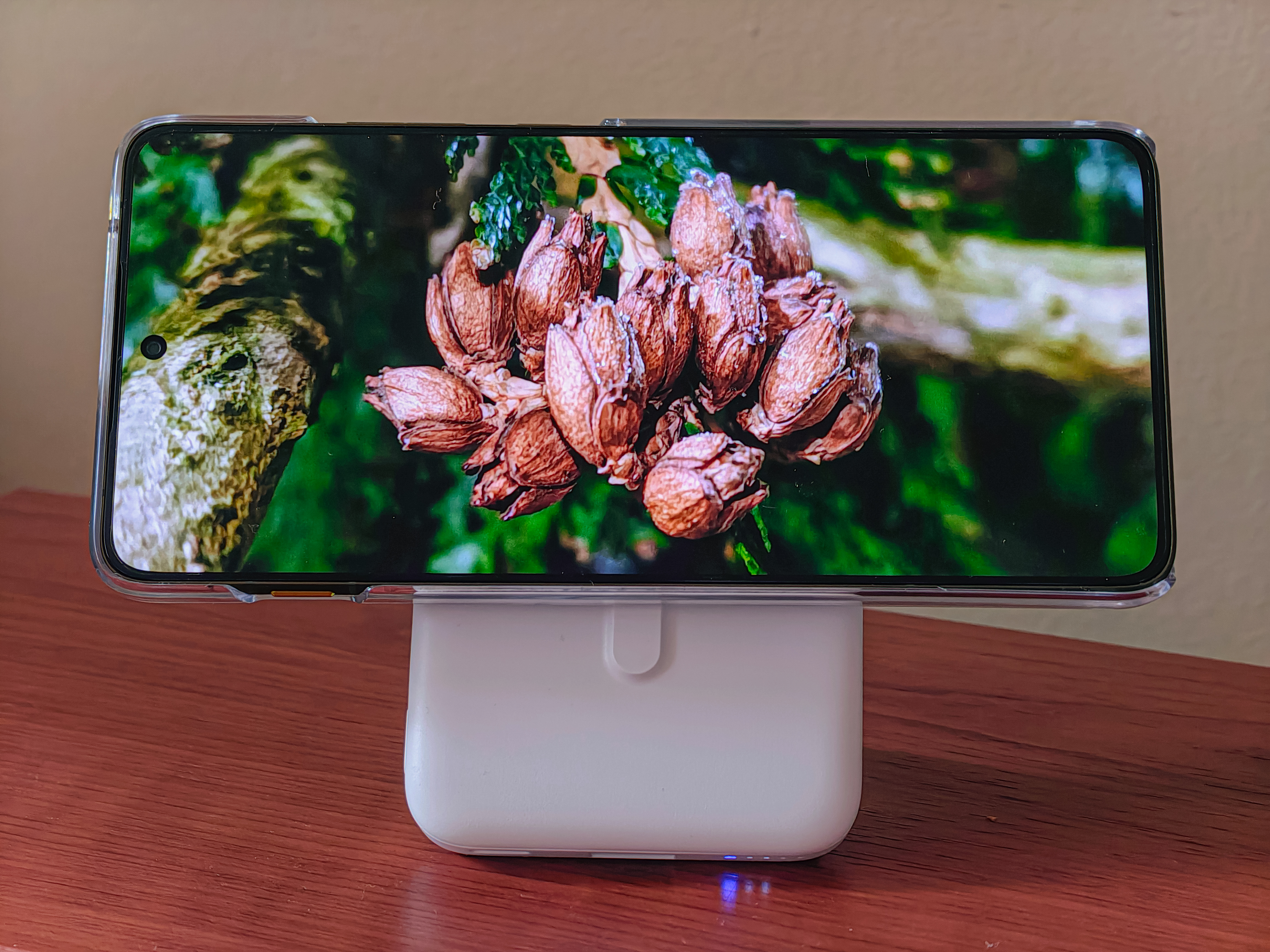 IMG_20251129_103215248_HDR_AE